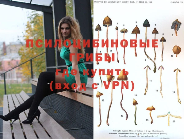 гашиш Туринск