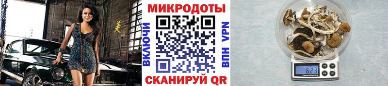 Псилоцибиновые грибы MAGIC MUSHROOMS  Сычёвка 